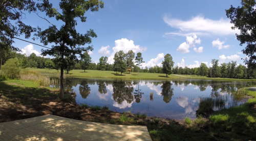 A serene landscape featuring a calm pond surrounded by trees and a grassy area under a blue sky with fluffy clouds.