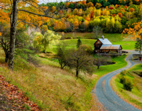 A winding road leads to a rustic house surrounded by vibrant autumn foliage and rolling hills.