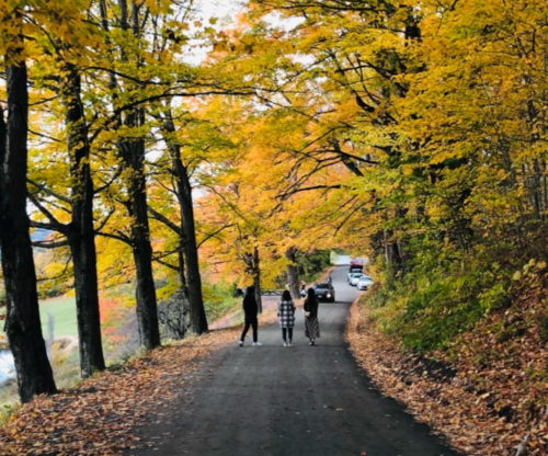 Three people walk down a tree-lined road with vibrant autumn foliage, while a car drives by in the background.