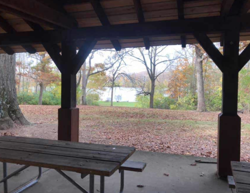 View from a shelter showing a lake surrounded by trees with autumn leaves on the ground.