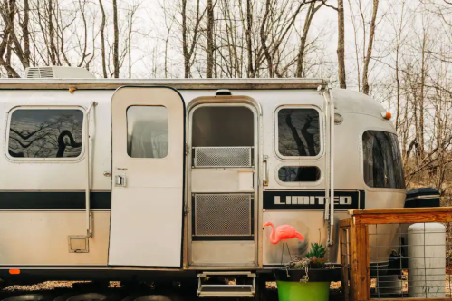 A silver Airstream trailer with a flamingo decoration and a green plant outside, surrounded by bare trees.