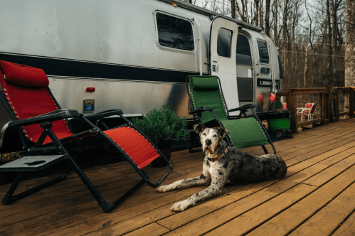 A dog lies on a wooden deck in front of an Airstream trailer, with red and green lounge chairs nearby.