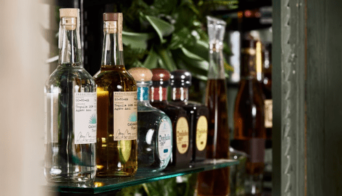 A shelf displaying various bottles of tequila and spirits, surrounded by greenery.
