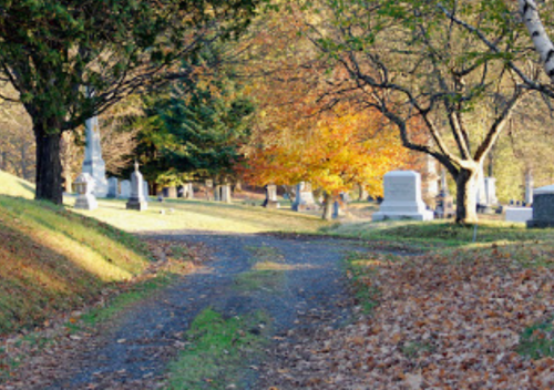 A peaceful cemetery path lined with gravestones, surrounded by trees and autumn foliage.