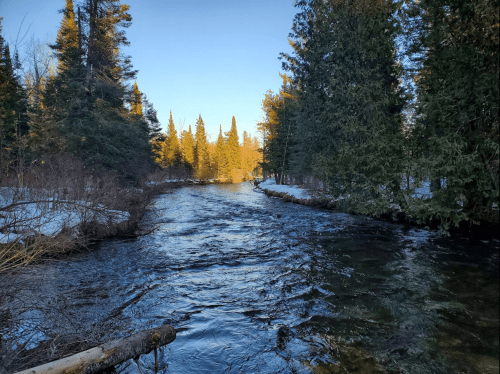 A serene river flows through a forest, with snow on the banks and sunlight filtering through the trees.