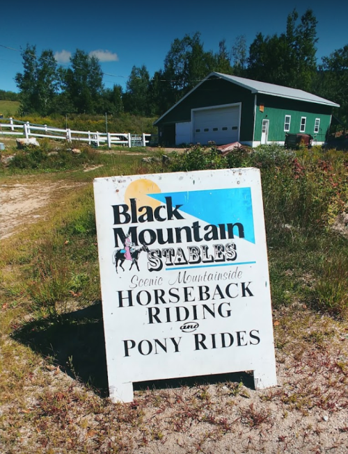 Sign for Black Mountain Stables offering scenic horseback and pony rides, with a green building in the background.