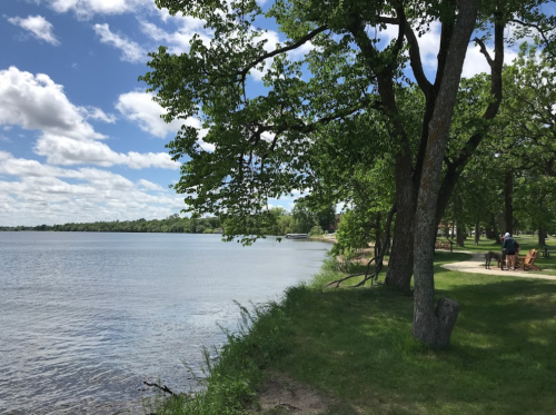 A serene lakeside scene with trees, a grassy shore, and a cloudy blue sky reflecting on the water.