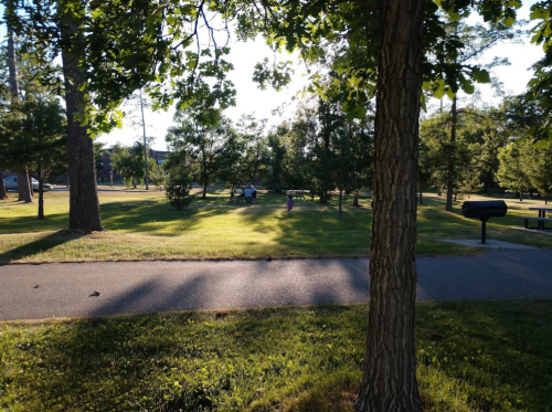 A park scene with trees, grass, and a pathway, featuring people sitting in the distance under the sunlight.