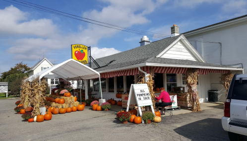 A quaint farm stand with pumpkins outside, featuring a sign that reads "All Pumpkins $4 Each" and a person sitting nearby.