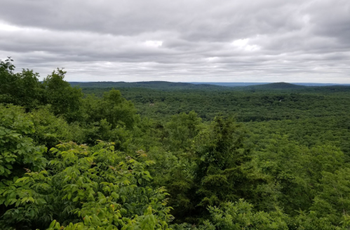 Lush green landscape with rolling hills under a cloudy sky, showcasing a serene natural view.