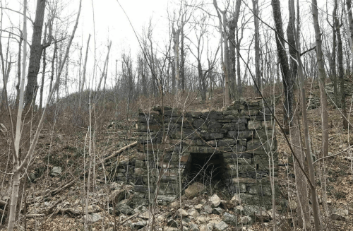 A stone structure partially hidden among bare trees on a hillside, with rocky terrain and a gray sky above.