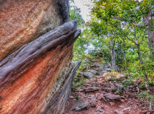 A rocky path winds through a lush forest, with large, textured boulders on one side and greenery surrounding the trail.