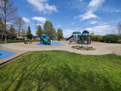 A sunny playground with slides, swings, and play structures surrounded by grass and trees under a blue sky.