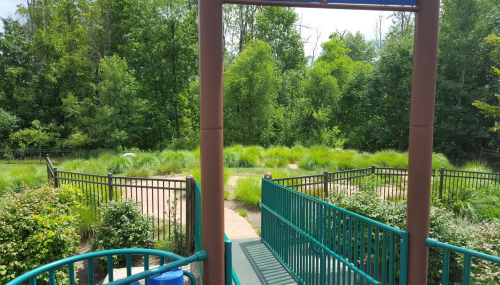 A view of a green park area with tall grass and trees, framed by a playground structure in the foreground.