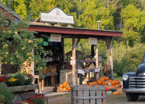 A charming farm stand at Shelburne Orchards, featuring pumpkins, flowers, and rustic wooden crates.