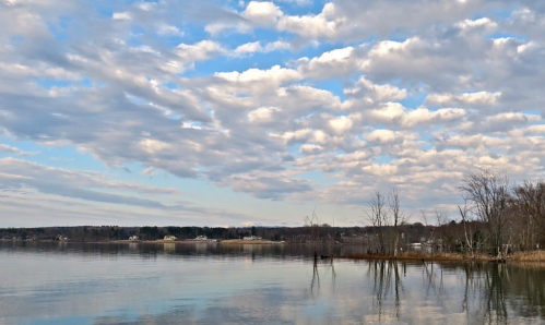 A serene lake scene with calm water reflecting a cloudy sky and bare trees along the shore.