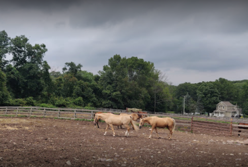 Three horses walking in a fenced area with trees and a house in the background under a cloudy sky.