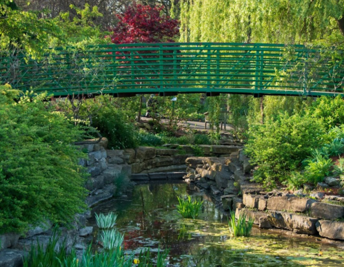 A serene garden scene featuring a green bridge over a tranquil stream surrounded by lush greenery and colorful trees.