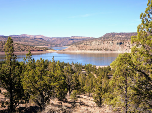 A serene landscape featuring a lake surrounded by hills and evergreen trees under a clear blue sky.