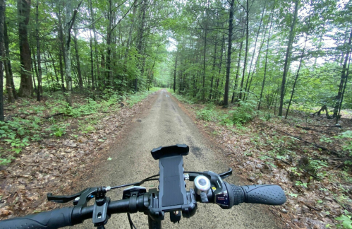 A view from a bike handlebar on a dirt path surrounded by lush green trees.