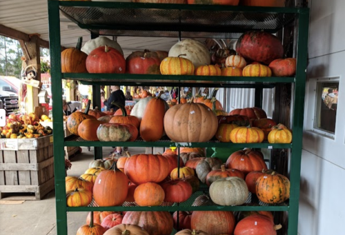 A display of various pumpkins and gourds on a green shelf at a market, with people browsing in the background.
