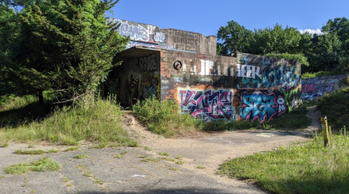 Abandoned building covered in colorful graffiti, surrounded by overgrown grass and trees under a clear blue sky.