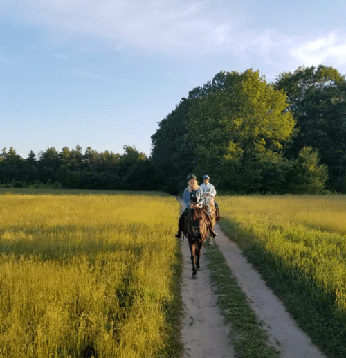 Two people riding horses along a dirt path through a grassy field under a clear blue sky.