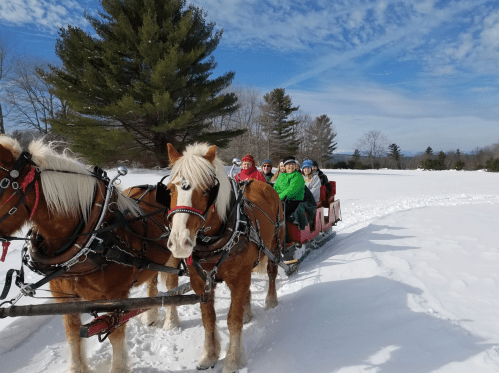 A group of people in colorful winter clothing enjoy a horse-drawn sleigh ride through a snowy landscape.