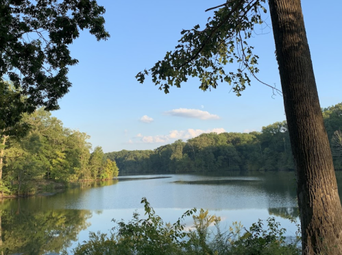 A serene lake surrounded by trees, reflecting the sky and clouds, with a hint of the moon visible.