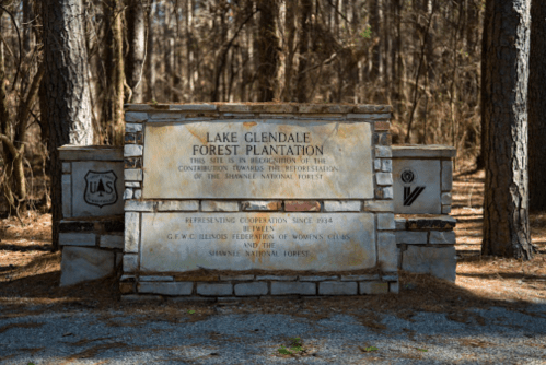 Sign at Lake Glendale Forest Plantation honoring contributions to the reforestation of the Shawnee National Forest.