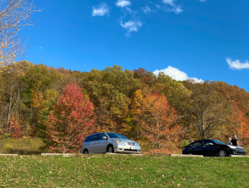 Two cars parked beside a vibrant autumn landscape with colorful trees under a clear blue sky.