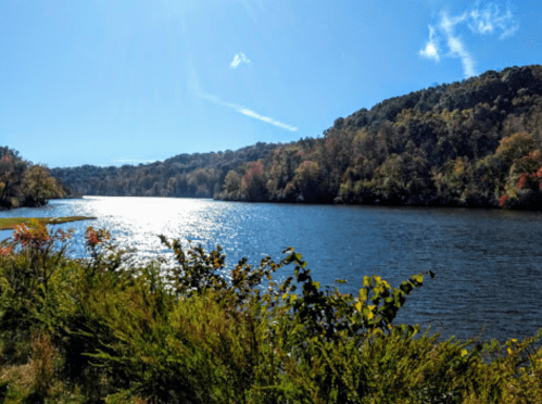 A serene river scene with sunlight reflecting on the water, surrounded by lush greenery and autumn-colored trees.