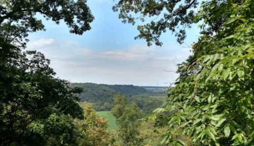 A scenic view of rolling hills and greenery under a partly cloudy sky, framed by trees in the foreground.