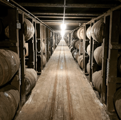 A dimly lit storage area with wooden barrels lined along both sides of a long, narrow corridor.