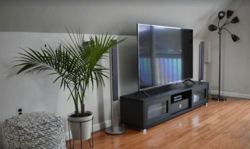 A modern living room with a large TV on a black stand, a potted plant, and a floor lamp on wooden flooring.