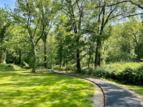 A winding path through a lush green park, surrounded by tall trees and vibrant foliage under a clear blue sky.
