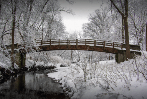 A wooden bridge over a snow-covered creek, surrounded by trees blanketed in white snow.
