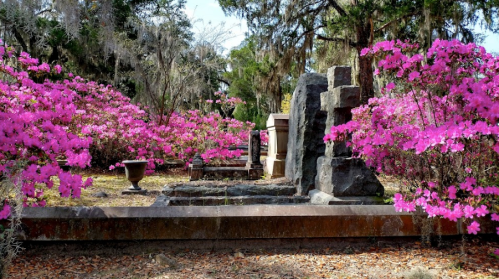 A serene garden scene with vibrant pink azaleas surrounding stone structures and a small fountain.