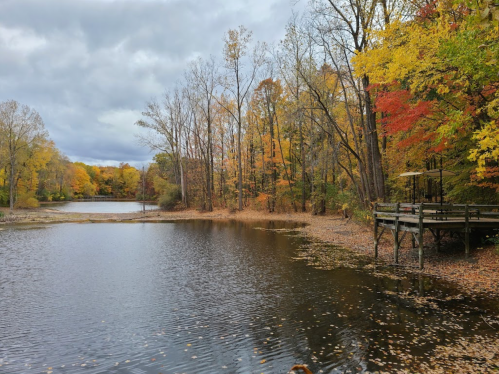 A serene lake surrounded by trees with vibrant autumn foliage, reflecting a cloudy sky.