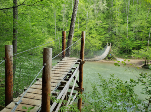 A wooden bridge leads to a suspended rope bridge over a serene, green river surrounded by lush trees.