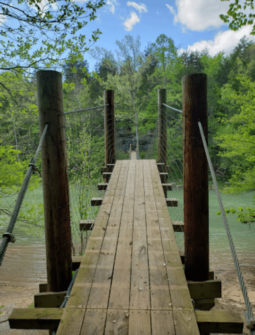 A wooden bridge leads over a calm river, surrounded by lush green trees and a clear blue sky.