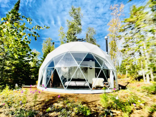 A modern geodesic dome home surrounded by trees and colorful flowers under a blue sky.