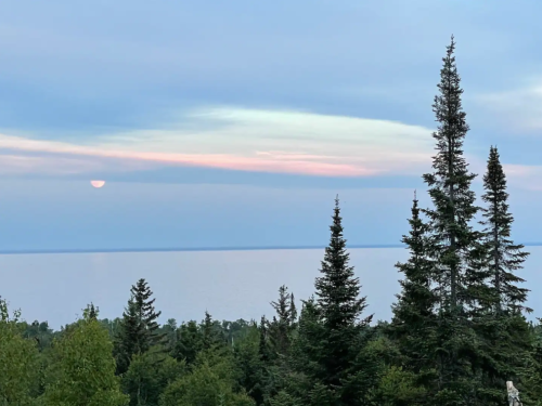 A serene landscape featuring tall trees against a calm lake at sunset, with soft pastel colors in the sky.