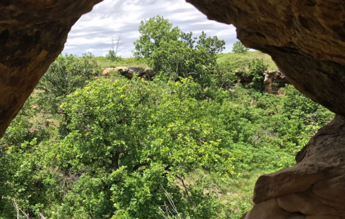 View of lush green trees and a grassy landscape through a rocky opening in a cave.