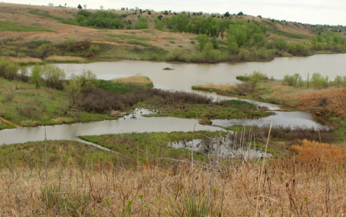 A serene landscape featuring a winding river surrounded by green vegetation and rolling hills under a cloudy sky.
