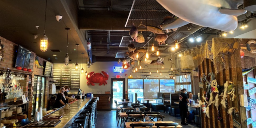 Interior of a seafood restaurant featuring a bar, hanging fish decor, and wooden tables in a cozy atmosphere.