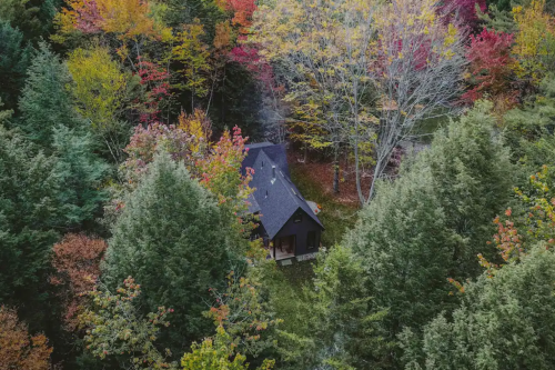 A cozy black cabin surrounded by vibrant autumn foliage in a lush forest.