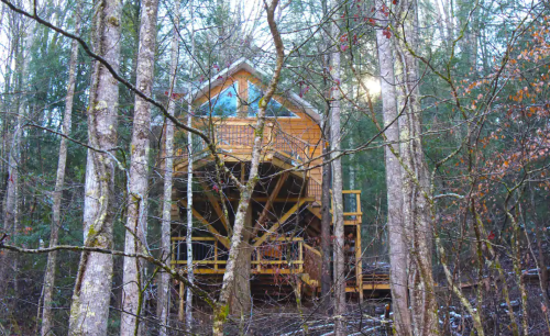 A wooden cabin nestled among tall trees, surrounded by greenery and a hint of sunlight peeking through the branches.
