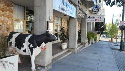 A life-sized cow statue stands outside the Matterhorn restaurant, with a sign visible above the entrance.