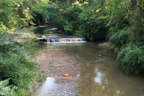 A serene creek flows through a lush green landscape, featuring a small waterfall and rocky banks.